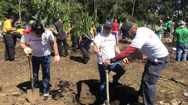 Cada vez se apunta más gente a sembrar árboles en La Sabana