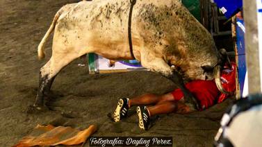 Dos toros que estarán en Zapote son sinónimo de bravura y peligro para los improvisados