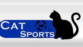 (Videos) Conozca a la gata más famosa de las transmisiones piratas de los partidos de Tigo Sports
