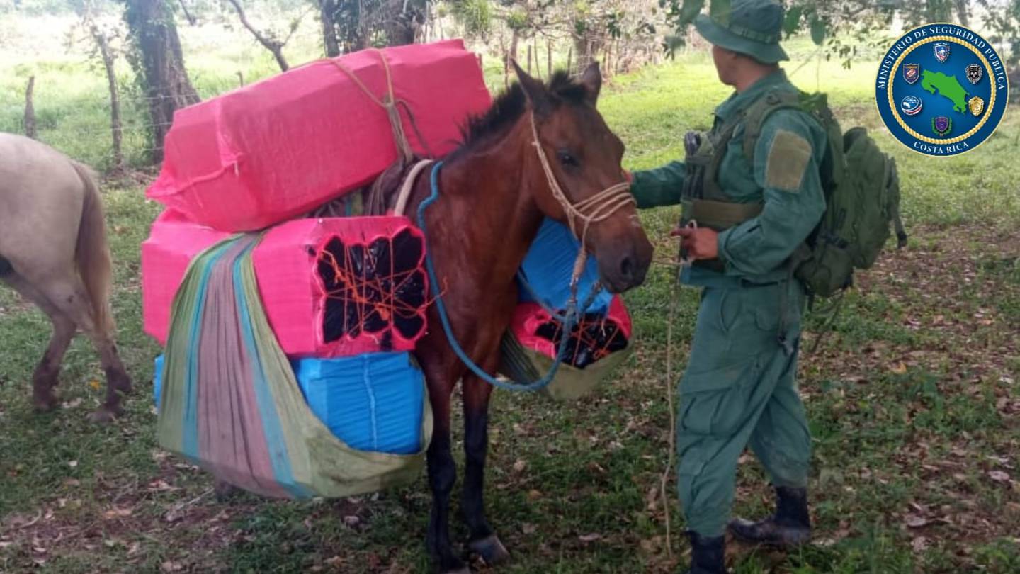 Detienen a dos extranjeros que llevaban cargamento de cigarros de contrabando sobre cuatro caballos en Los Chiles. Foto MSP.