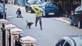 (Video) Perrito se convierte en héroe al salvar a una mujer de un asalto
