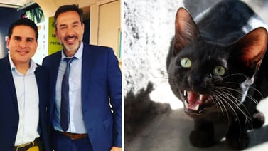 Le dicen “Gato negro” a Fabricio Alvarado por salir en foto con nuevo entrenador de la Sele
