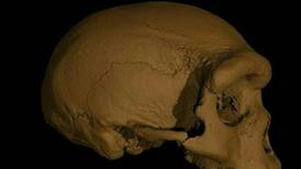 “Hombre Dragón”: científicos dicen que nueva especie humana es nuestro antepasado más cercano