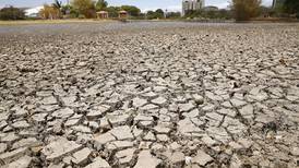 Confirme con nuestras fotos la profunda sequía que viven los lagos de La Sabana y el Parque de la Paz