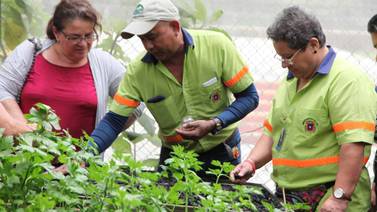 Municipalidad de San José dará cursos ambientales gratuitos 