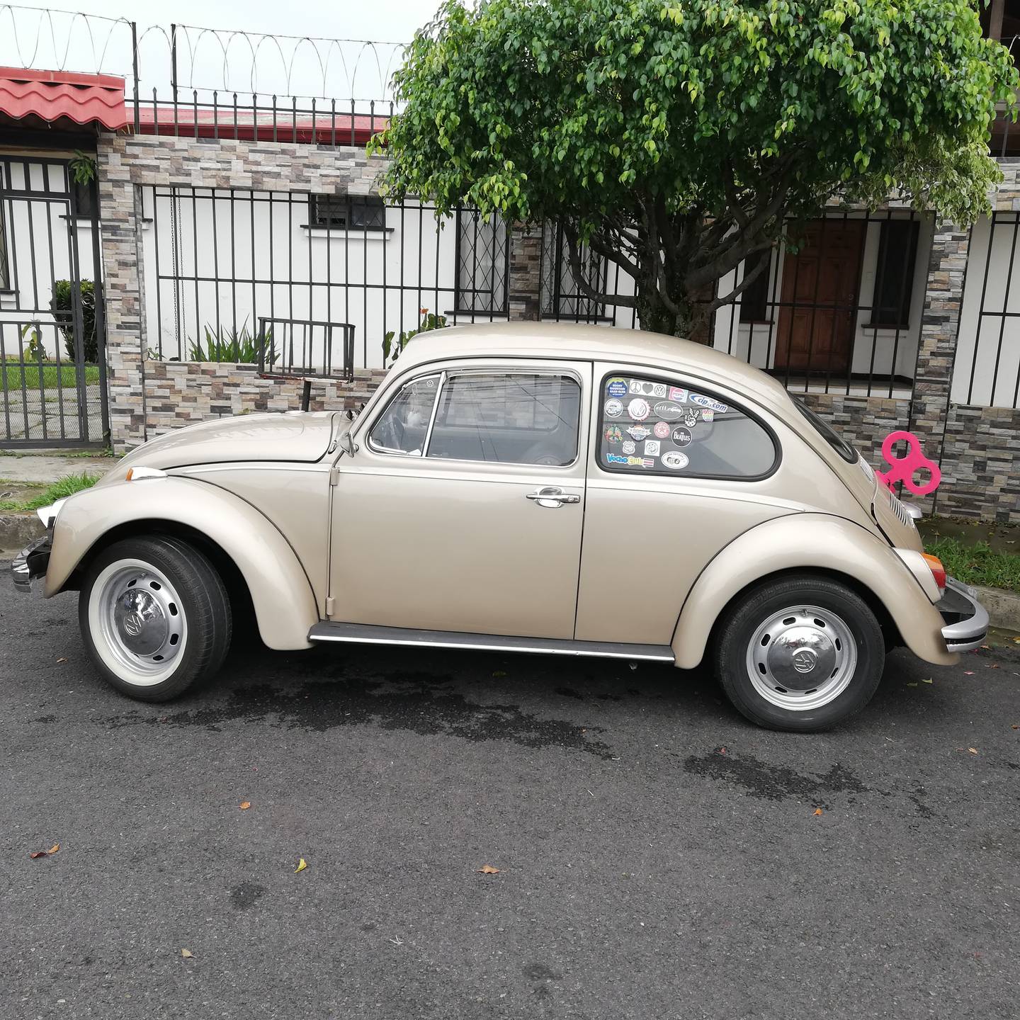 Lorena Murillo Valerio, de 53 años, se enamoró de un Volkswagen Escarabajo modelo 1970, 1500 centímetros cúbicos, al cual le puso Camilo
