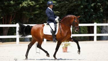 Keylor Navas tiene un caballo pura raza que podría costar ¢1.200 millones 
