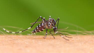 Salud confirma caso de malaria en persona extranjera