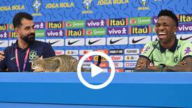 Video: Muchos aseguran que la maldición del gato echó a Brasil del Mundial