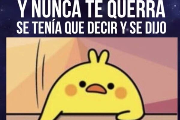 Noticias Sobre Meme La Teja La Teja