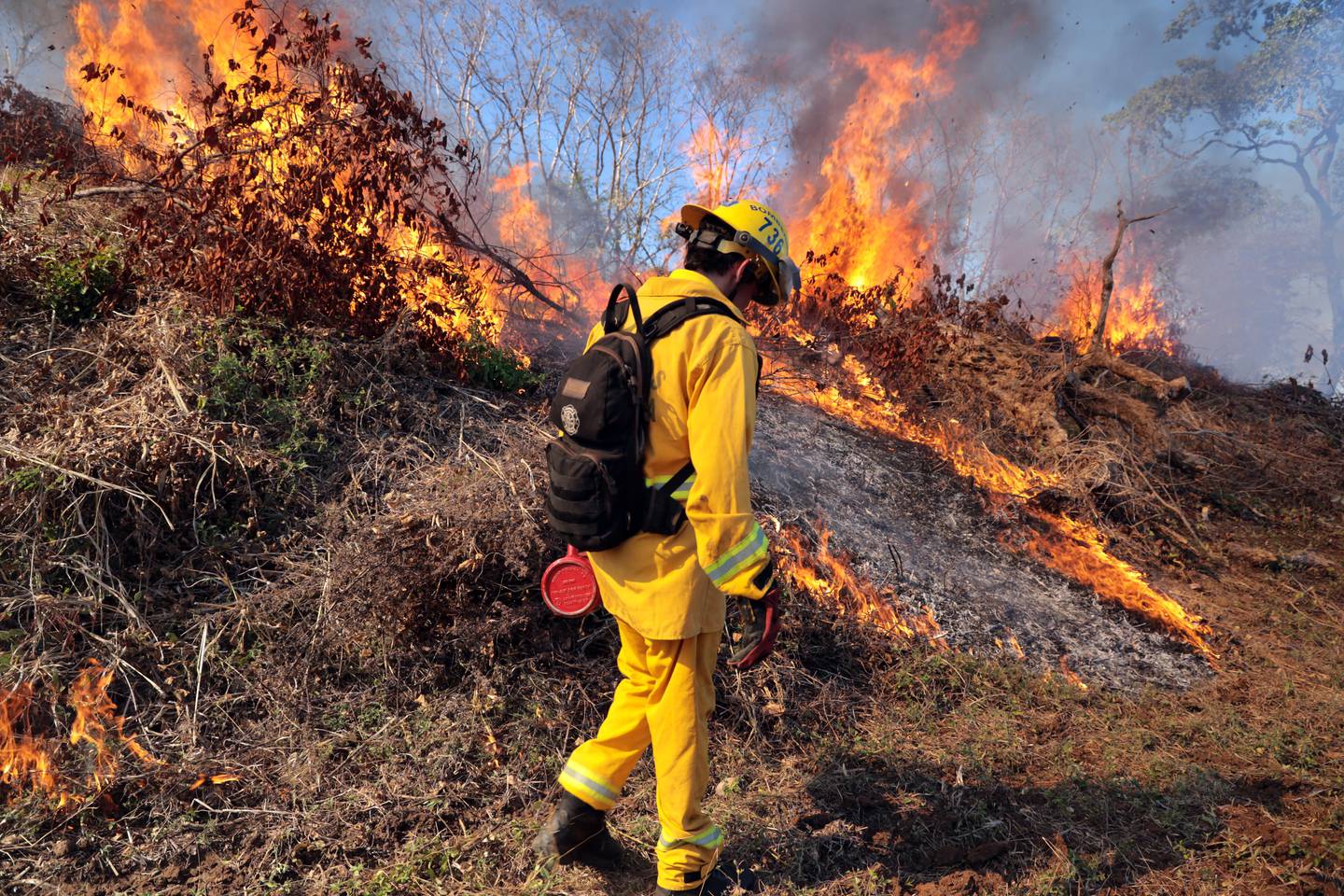 Foto de enero del 2024 durante un  incendio forestal en Nandayure,  Guanacaste, la cual  muestra la lucha de nuestros bomberos. Amargamente son muy comunes estos incendios en una zona en la cual el calor incluso llega a los 38 grados Celsius.