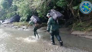 Policías de Fronteras pescaron marihuana en manglares del Parque Nacional Corcovado