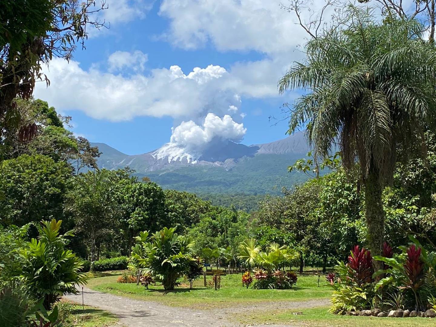 Erupción del volcán Rincón de La Vieja del domingo 19 de abril de 2020. Foto CNE.