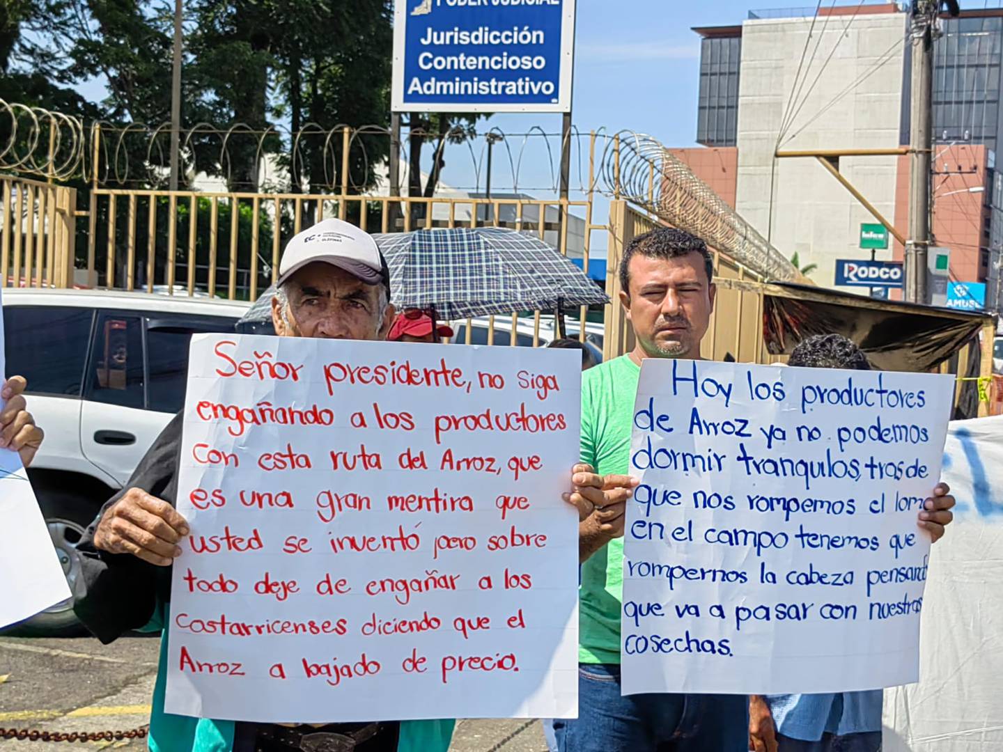 Arroceros del país se presentaron una demanda judicial contra el presidente Rodrigo Chaves Robles por las políticas sobre el arroz las cuales aseguran que les perjudica