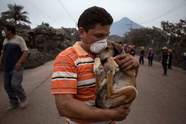 Image result for rescate de vÃ­ctimas del volcÃ¡n de fuego