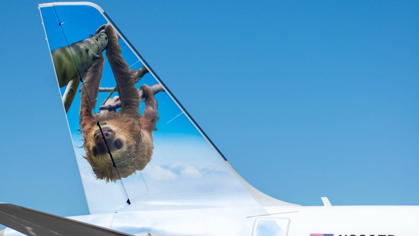 El avión decorado en su cola con la imagen de “Tico” el perezoso de dos dedos, perteneciente a la aerolínea de ultra-bajo costo Frontier Airlines aterrizó el 22 de enero del 2024, en Costa Rica proveniente de Atlanta, Estados Unidos