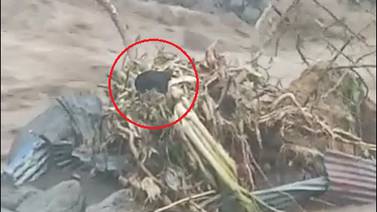 (Videos) Valiente joven se jugó la vida para rescatar a perrito atrapado en medio del río Turrialba