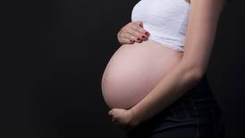 Diputada pretende que no se pueda despedir a los hombres cuando sus parejas estén embarazadas