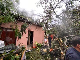 Joven de 23 años y niña de 3 años mueren tras caída de árbol sobre casa en Guanacaste.