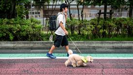 En Japón, una patrulla de perros vigila a los niños 
