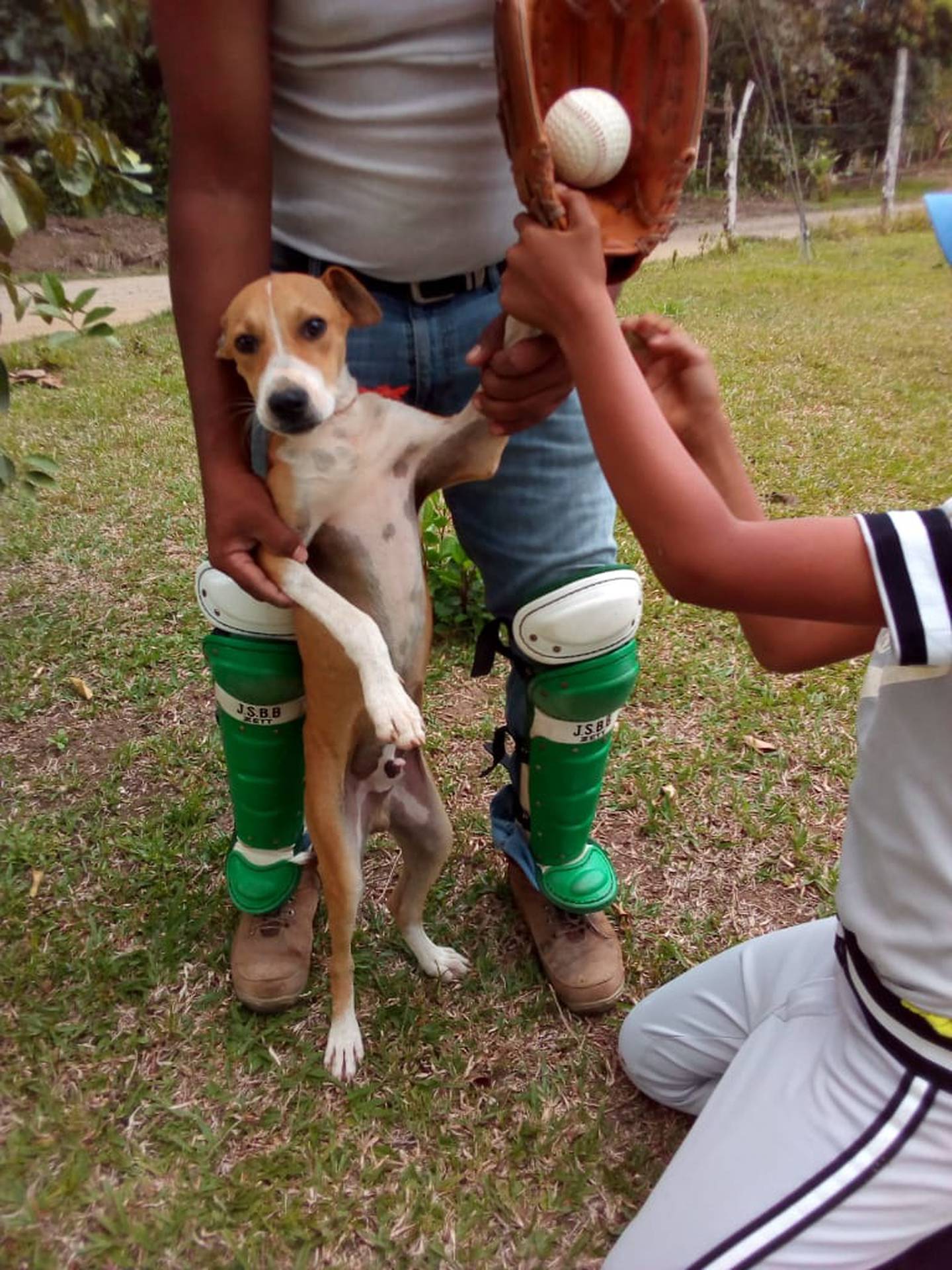 Dueño de perro que perdió sus patas delanteras por una motoguadaña pide ayuda para conseguir unas prótesis. Foto cortesía David Ramos.