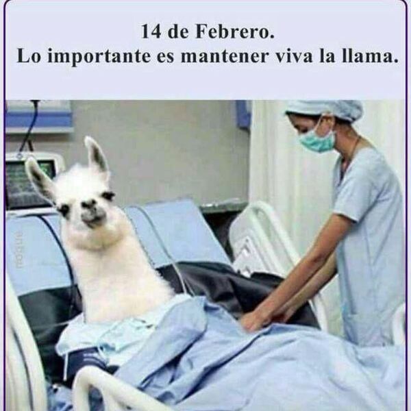 Los Memes Mas Divertidos Por El Dia Del Amor Y La Amistad La Teja