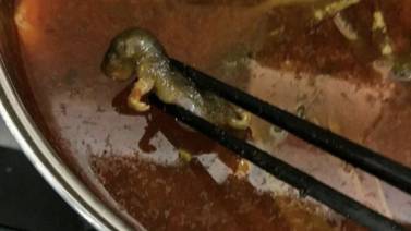 ¡Guácala! Rata muerta dentro de una sopa le costó $190 millones a un restaurante en China