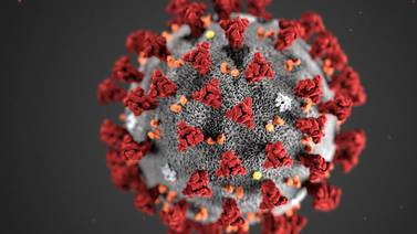 Coronavirus: Salud analiza 179 sospechosos de contagio