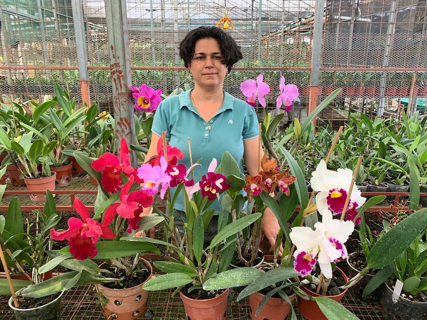Magdalena Ledezma, tiene más de 30 años de tener un vivero especializado en orquídeas