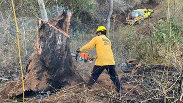 Fuego en el Parque Nacional Diriá ya quemó 70 hectáreas