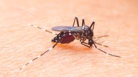 Detectan tipo de dengue que no se había registrado antes en el país 