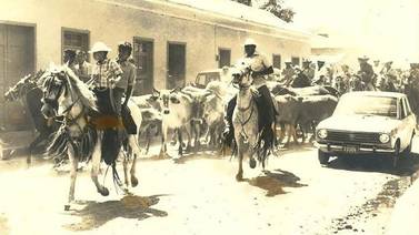 No hay nada más liberiano que el tope de toros, conozca la historia de esta tradición guanacasteca