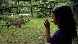 Celebre el Día del Niño en el zoológico Simón Bolívar