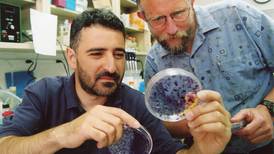 Nobel de Medicina para tres descubridores del virus de la hepatitis C