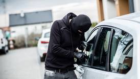 INS lanza seguro para proteger pertenencias en caso de tacha de carros