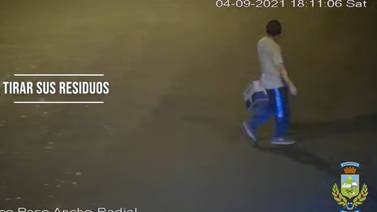 Muni de Desamparados usa cámaras de vigilancia para darle cacería a cochinos