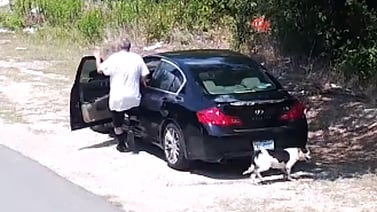 (Video) Meten a la chorpa a un hombre por dejar tirada una perrita en la calle