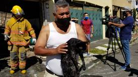 Bombero salvó a gatito de morir quemado