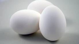OPINIÓN: La gallina de los huevos de oro está en el CNP, con la plata de todos los ticos