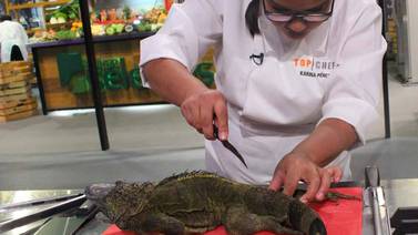 Matan y cocinan iguanas durante programa de televisión en El Salvador