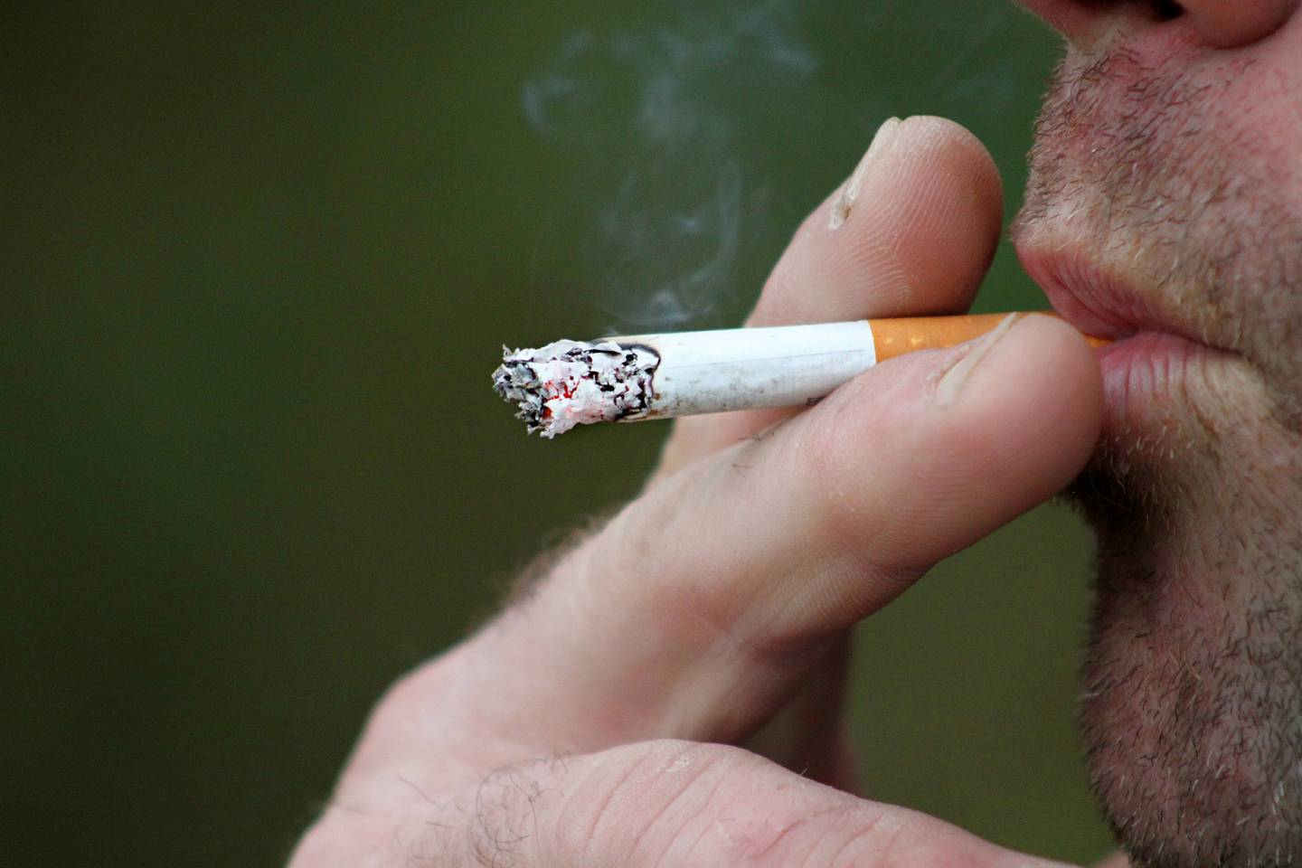 Se calcula que el tabaco mata actualmente a más de ocho millones de personas por año, incluyendo 1,3 millones de no fumadores que están expuestos al humo de segunda mano, según la OMS.