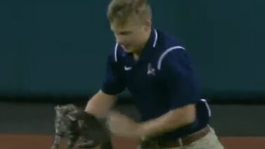 Gatito interrumpe partido de béisbol y a punta de mordiscos se rehúsa a salir