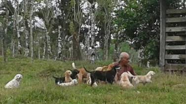 Tres perritos murieron de tristeza después del homicidio de su dueño de 73 años