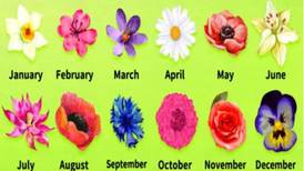 Sepa cómo es usted según la flor del mes de su cumpleaños