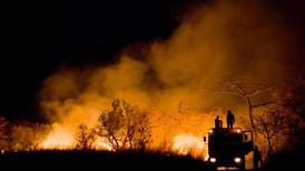 Incendios forestales preocupan a Bomberos ante cercanía de Semana Santa