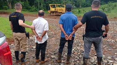 Detienen a cinco hombre que habrían talado árboles ilegalmente desde hace 4 años 