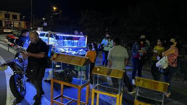 Acuario móvil en Hatillo: Ingenioso negocito jala miradas y ahuyenta a los ladrones 
