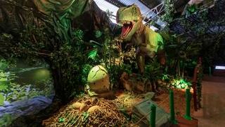 (Video) El mundo de los dinosaurios que todo niño desea conocer