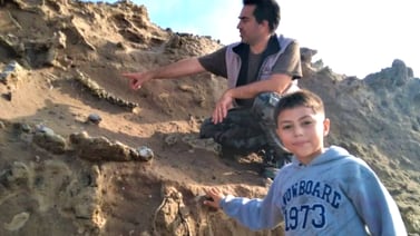 Niño de 8 años encontró fósiles de un perezoso gigante mientras caminaba por la playa
