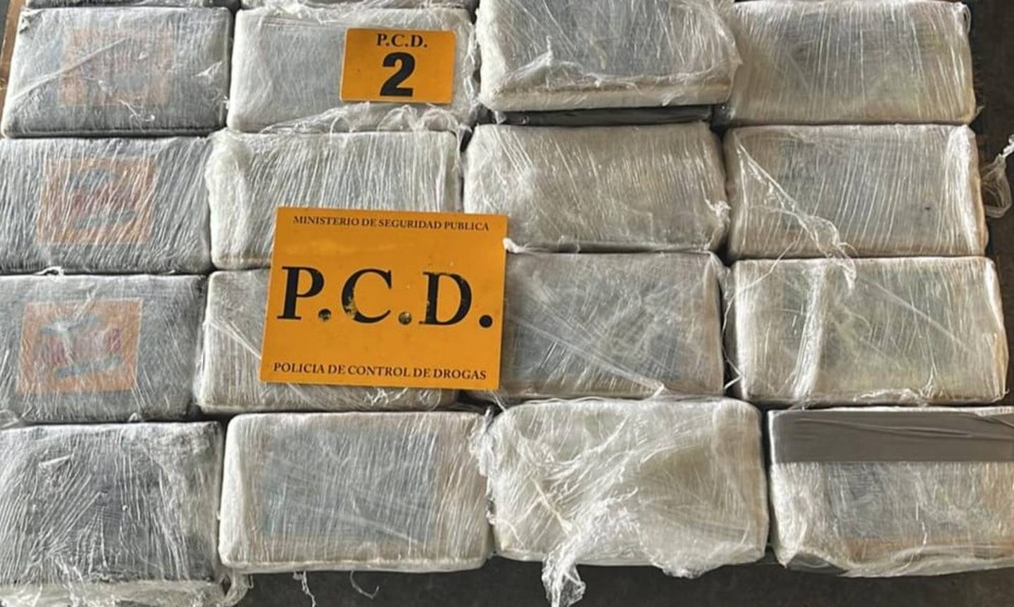 PCD decomisa 74 kilos de cocaína escondidos en contenedor en Moín. Foto OIJ.